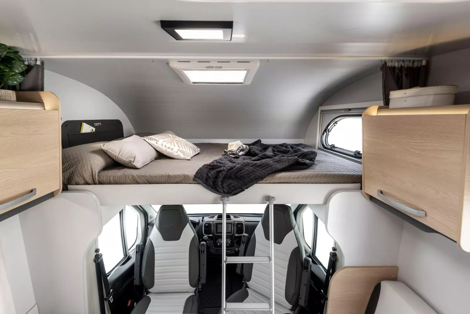 CAPUCHINA 485 CAPUCHINA 485